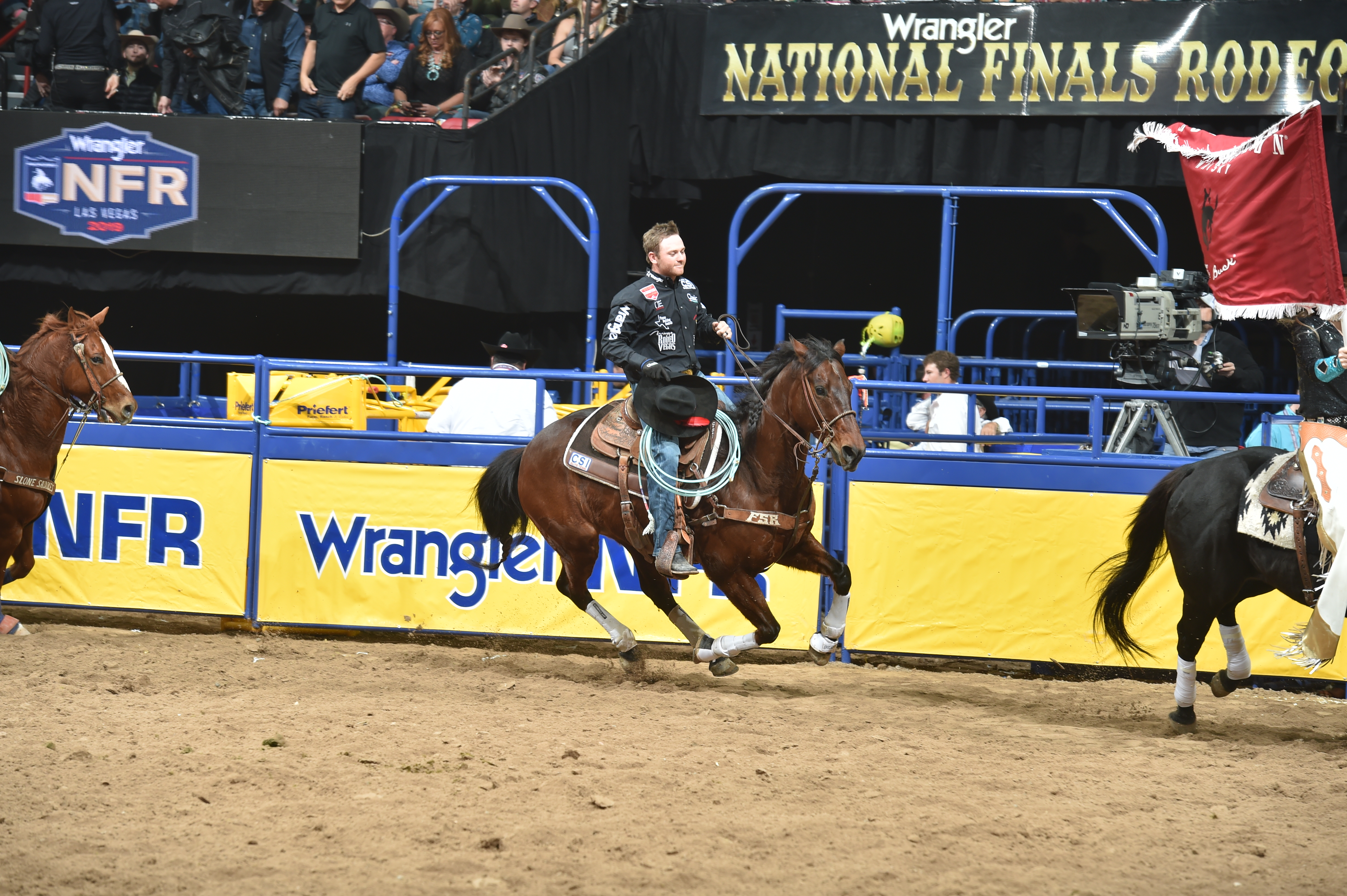 Pro Rodeo Recognizes PRCA Pickup Horses with Inaugural Nutrena