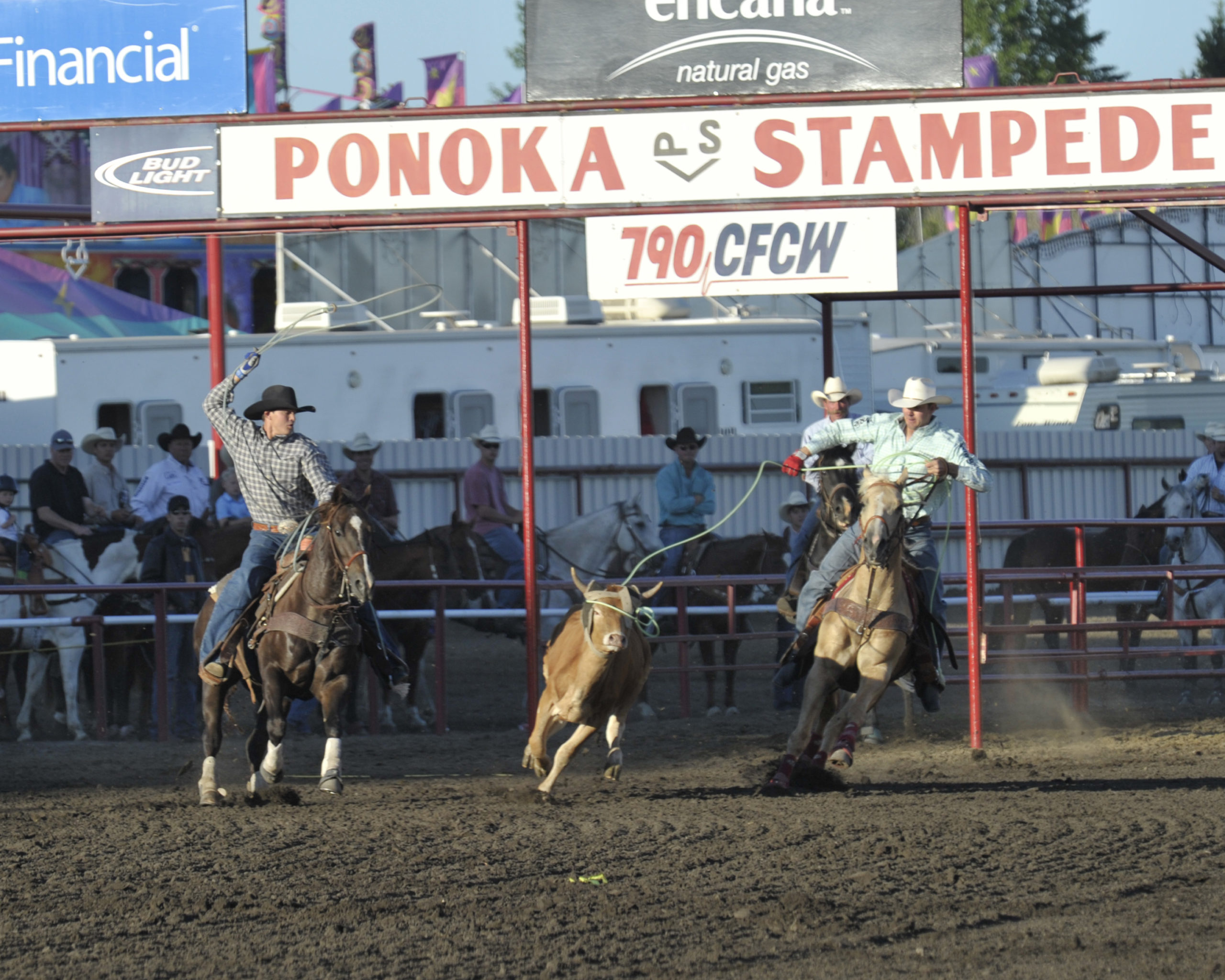 Shut Out, Eh?: Team Roping in Canada