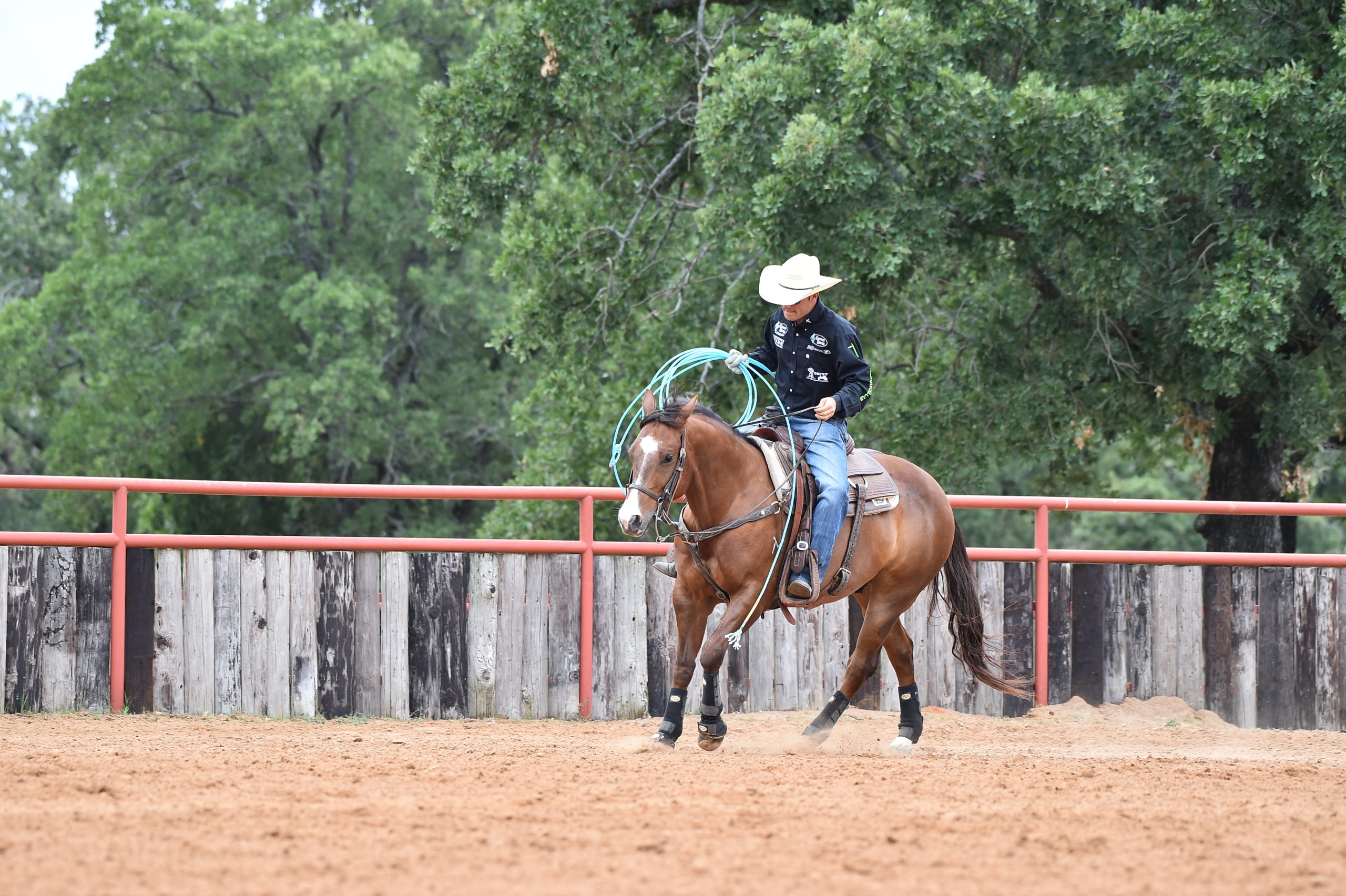 Drago, Carrying Medlin to First NFR, Splits 2020 Heel Horse of the