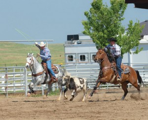 The Best Team Roping Rope: Finding the Right Rope for You