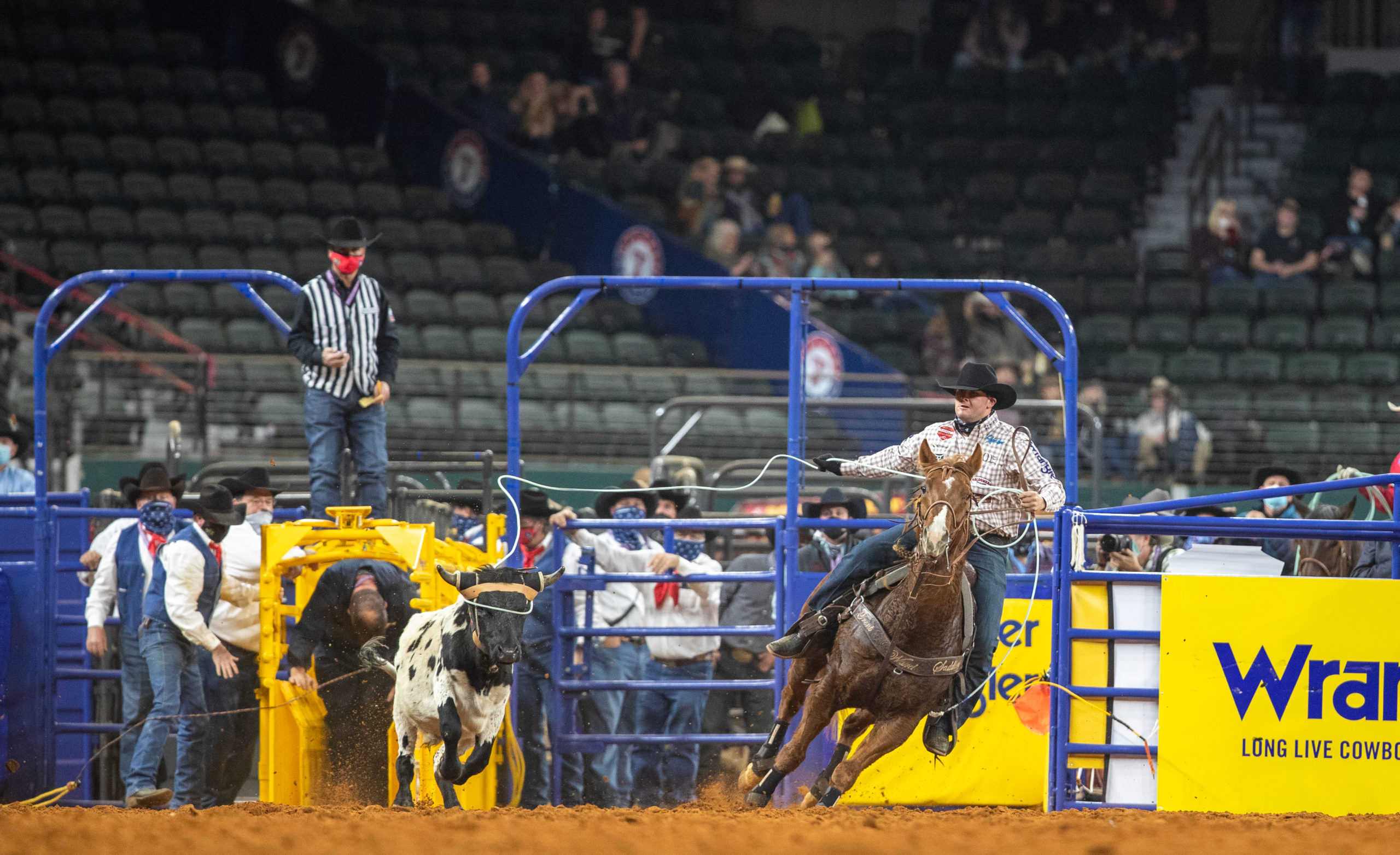 nfr team roping trevor brazile