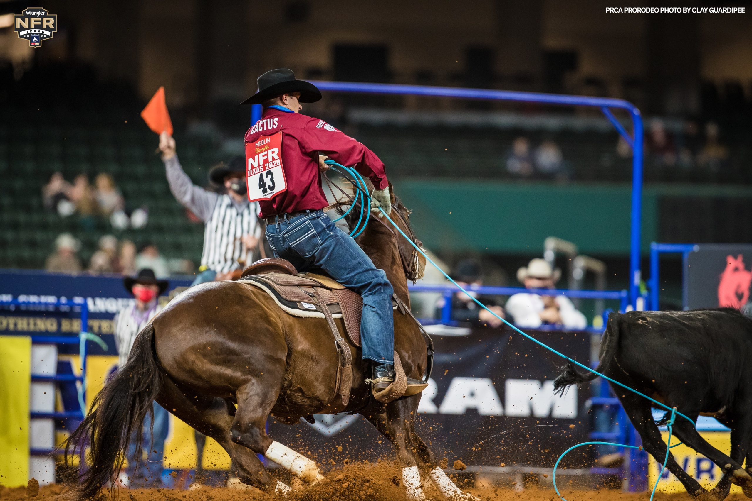 Jhett Johnson's NFR Team Roping Analysis