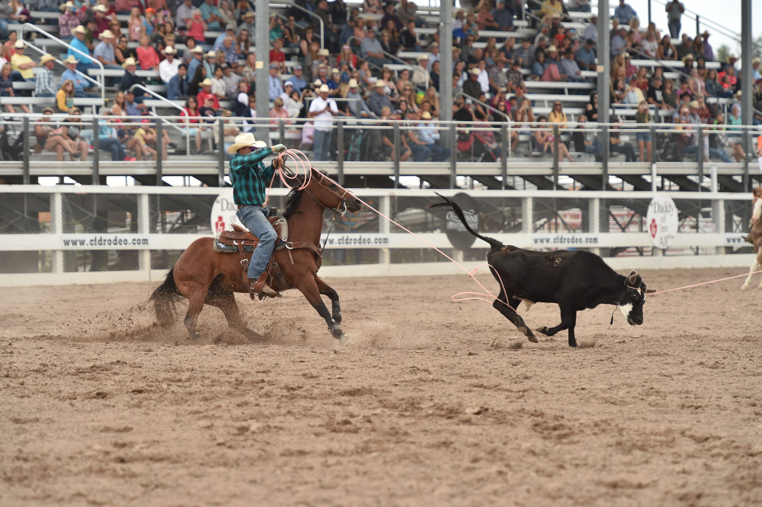 Levi Lord's Seven Ported Shank by Kerry Kelley Bits and Spurs