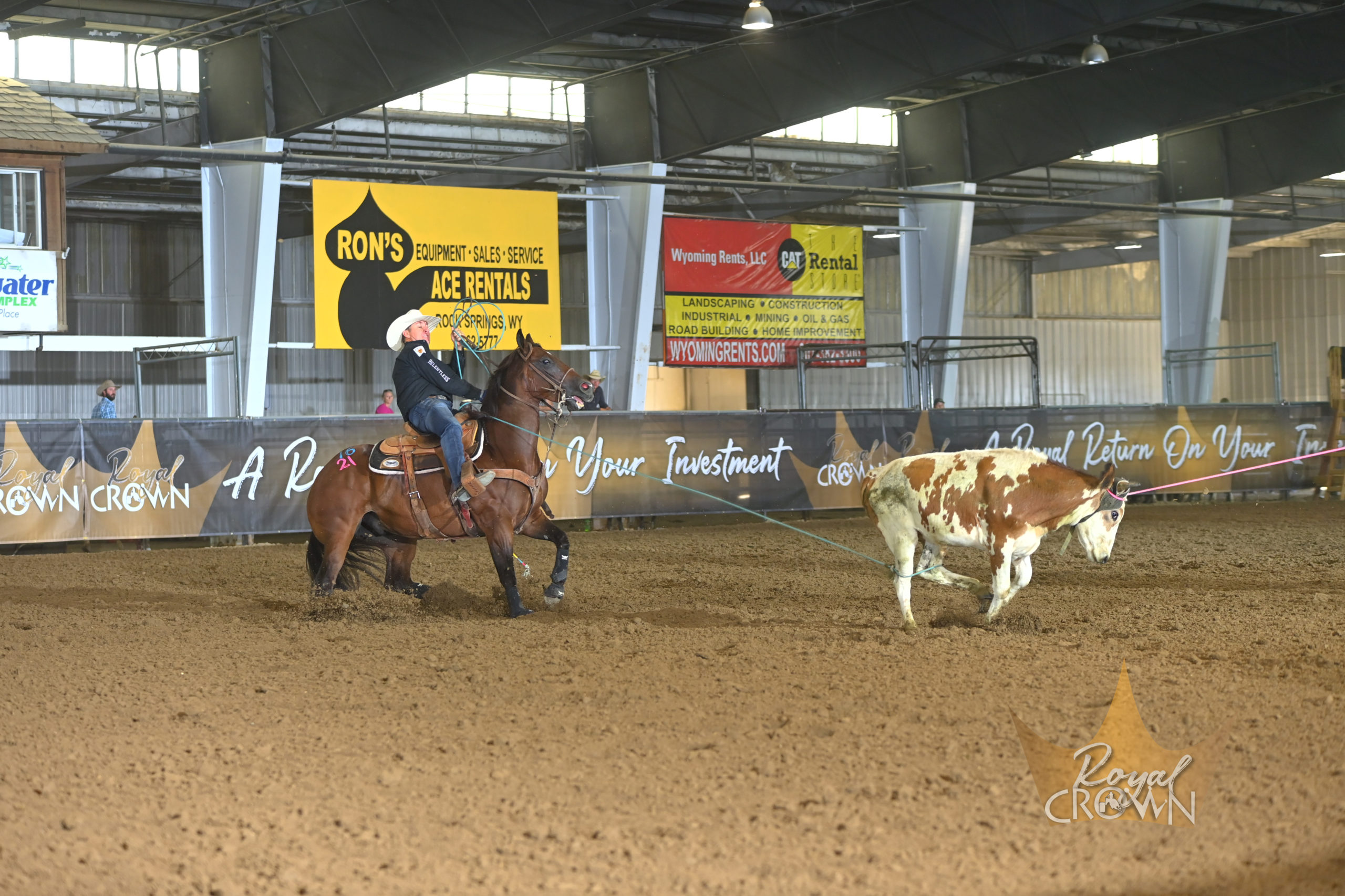 How Brazile Dominated the Royal Crown Rope Horse Futurity