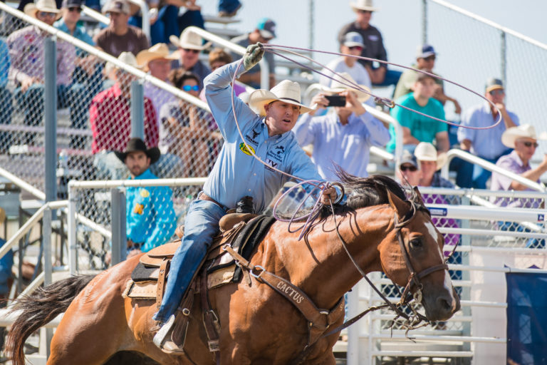 The Team Roping Start: Tyler Wade at the 2022 Sandhills Stock Show & Rodeo