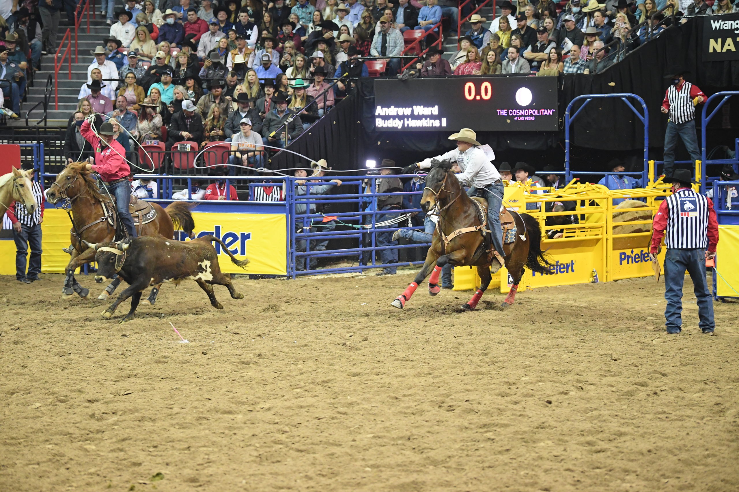 When the Champ Talks, We Listen NFR Round 7 Cheat Sheet