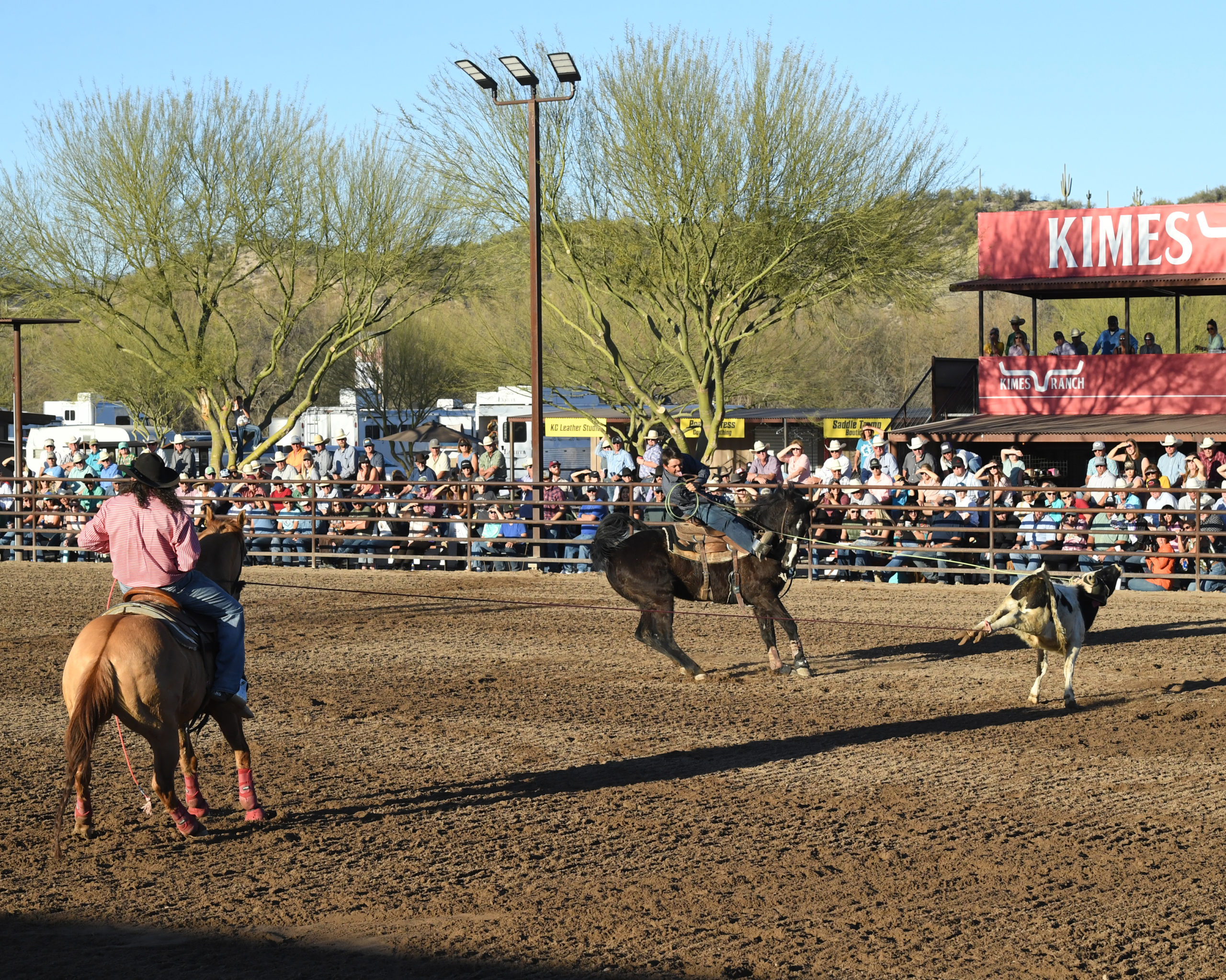 Ariat World Series of Team Roping Title Fights XII Full Results
