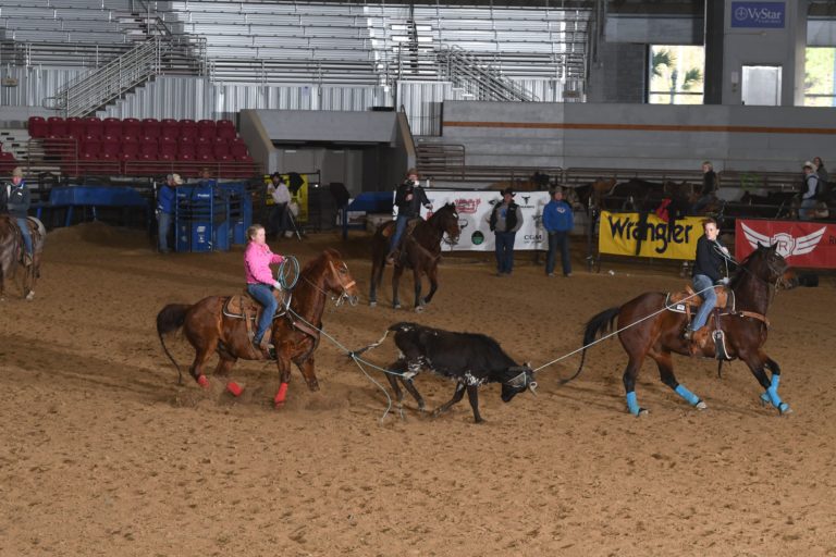 Women's Rodeo World Championship team ropers Beverly Johnson and Jessy Remsburg rope a steer to win the 2022 Amarillo All-Girl Roping.
