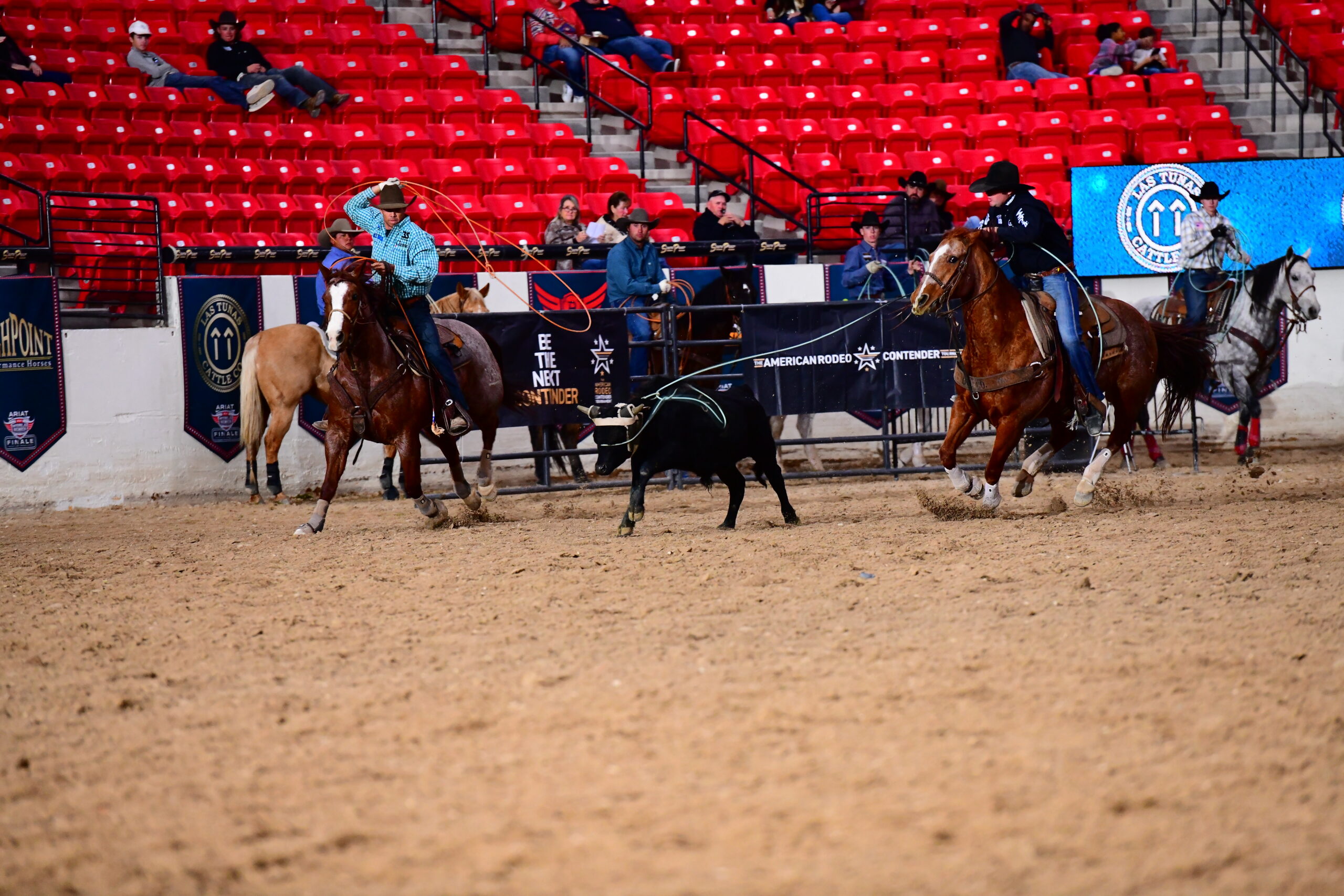 Final Results Ariat World Series of Team Roping Finale XVI