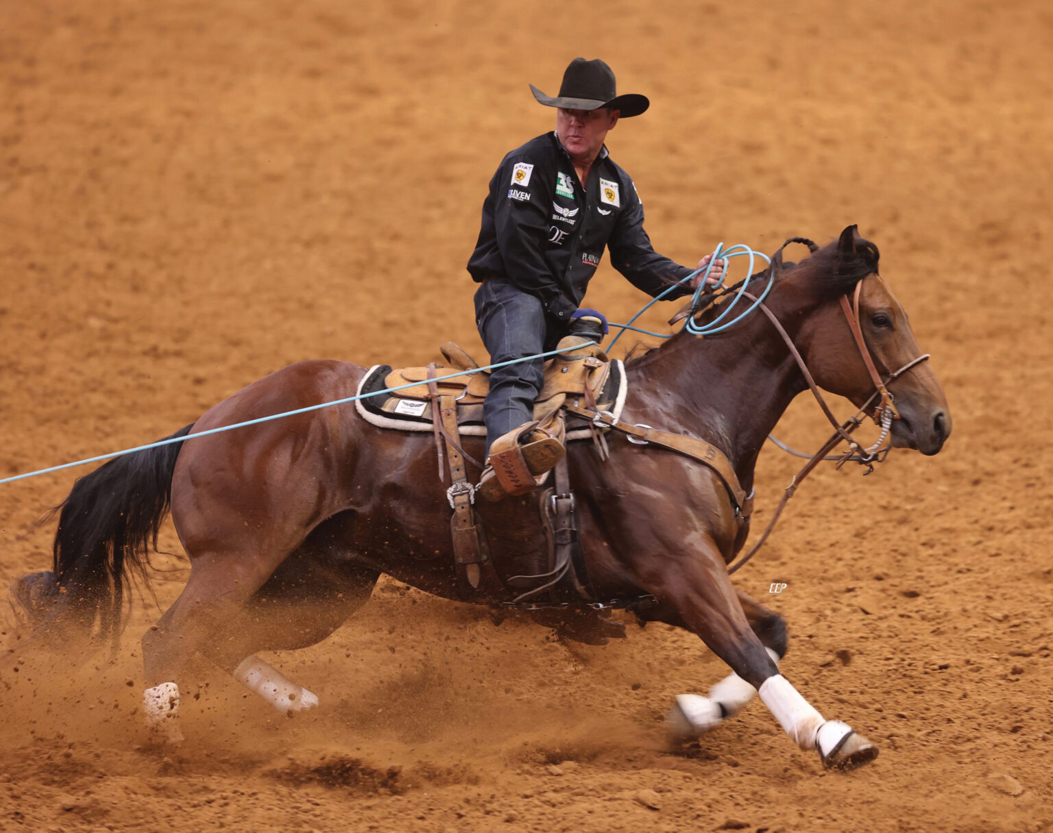 How Training for Rope Horse Futurities Leads to Arena Success