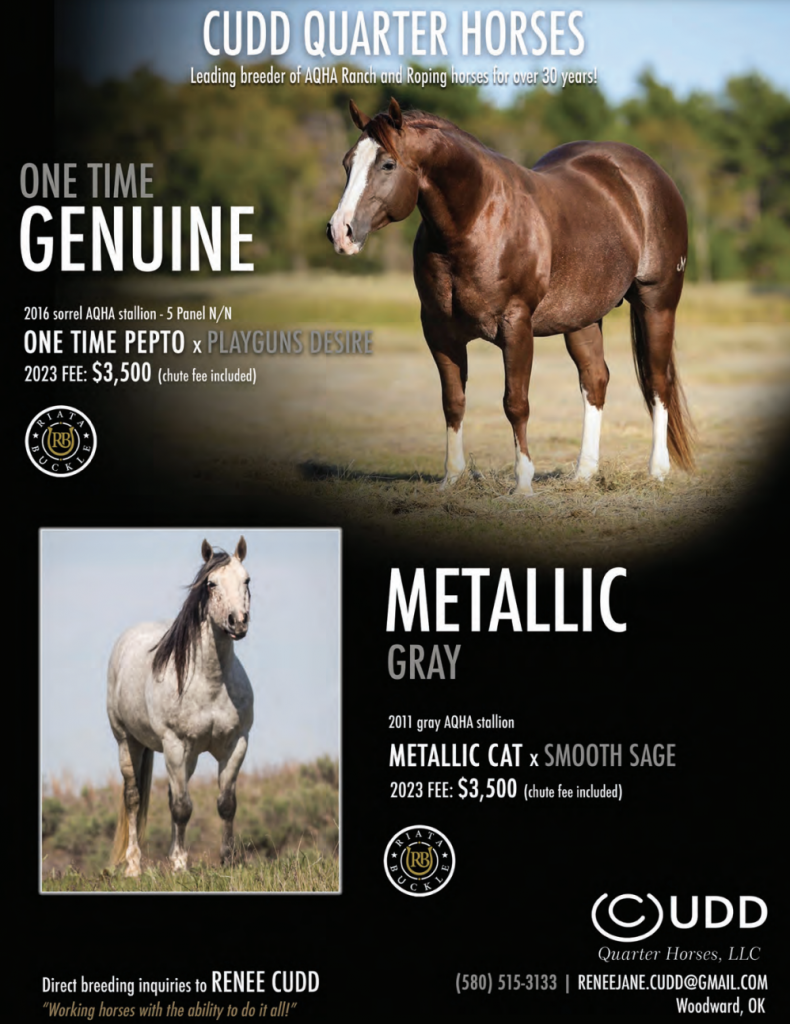 2023 Breeder's Guide Program Cudd Quarter Horses