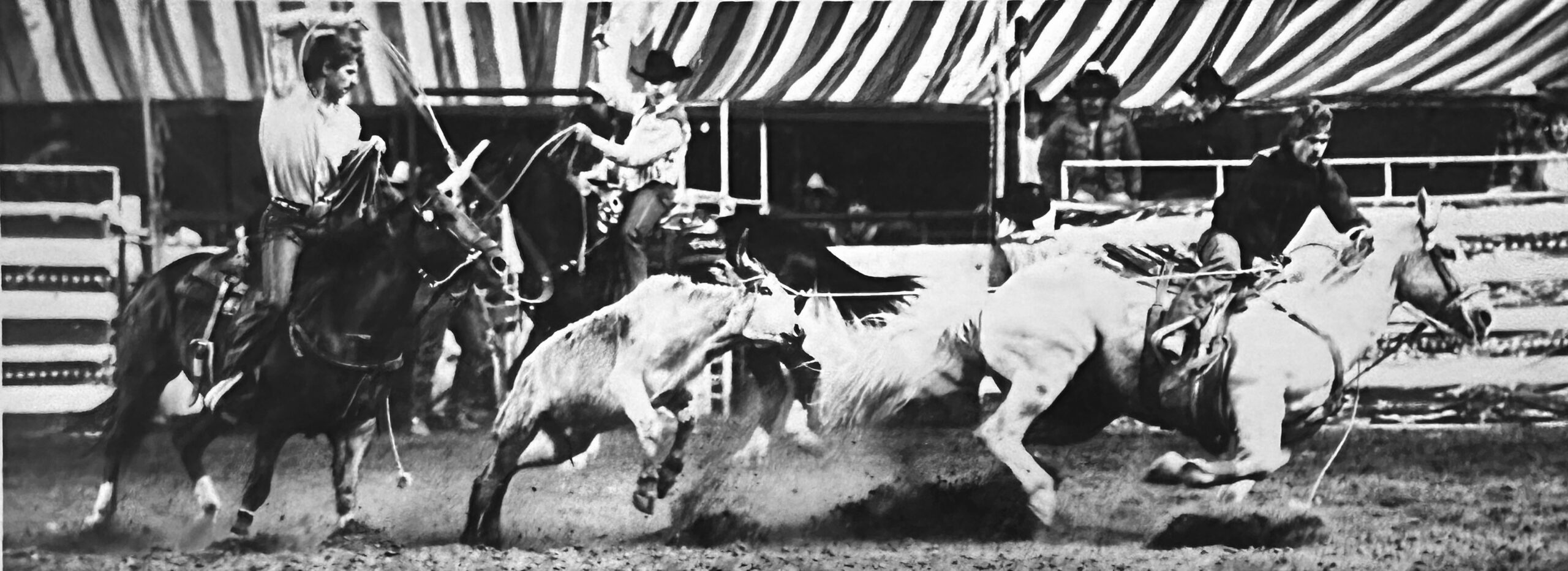 historic 1987 photo of Mark Fanning roping in 1987
