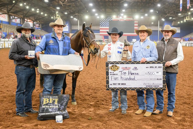 Clint Summers' head horse Joe was voted the Head Horse of the 2023 BFI. Val Andersen/CBarC Photography courtesy BFI