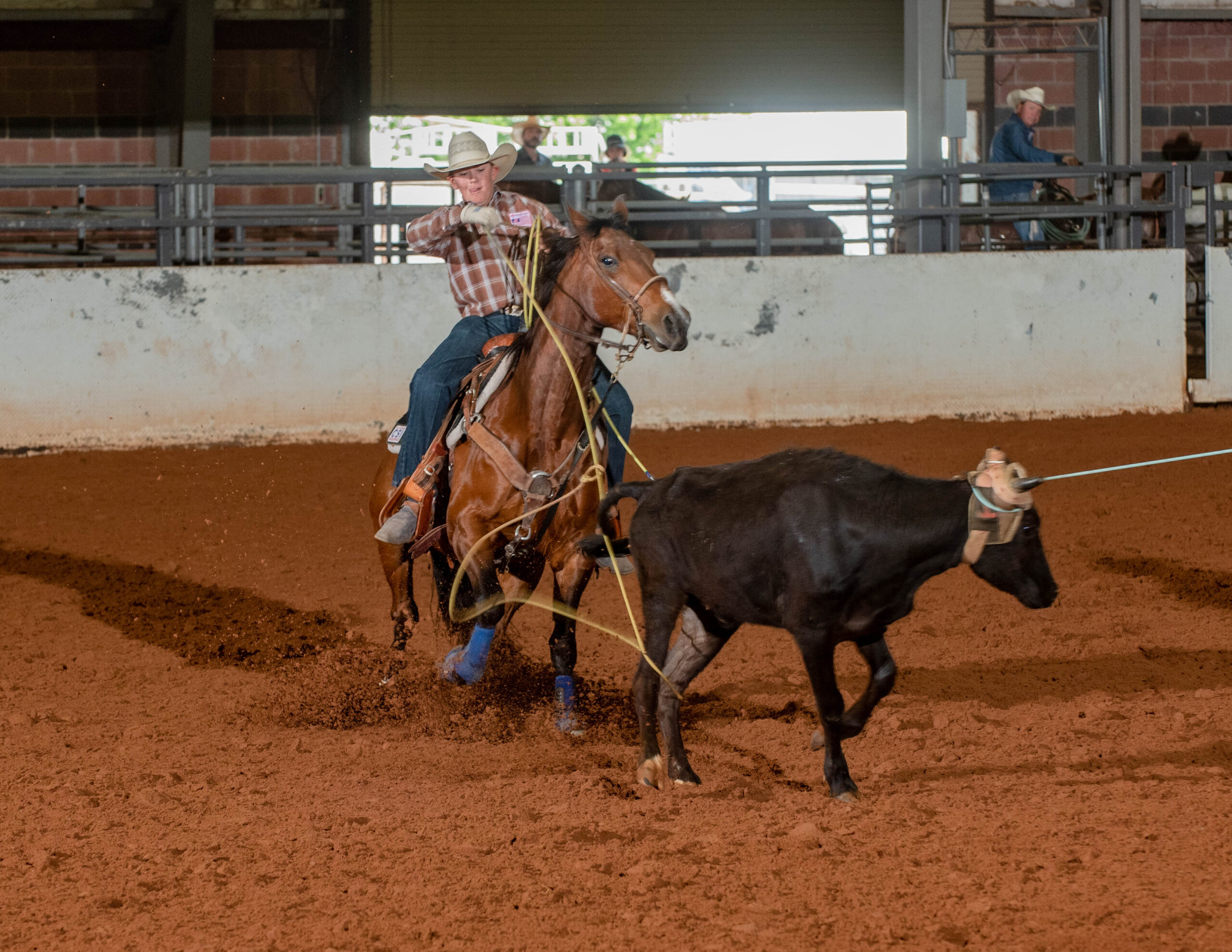 Haze Bruce heeling a steer on Smart Rey Movin at the 2023 American Rope Horse Futurity Association Oil Can Classic.