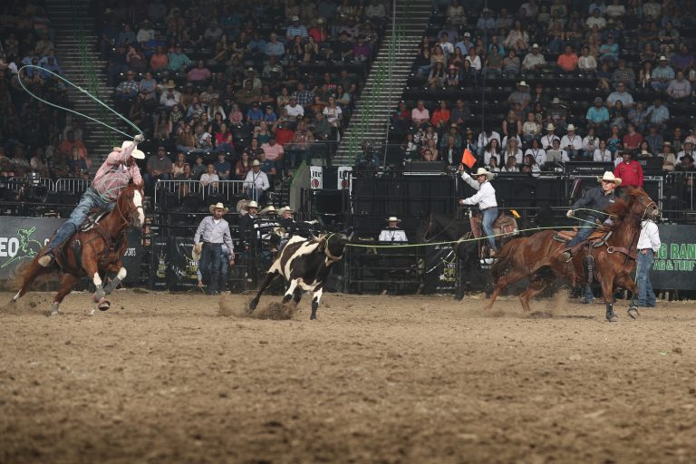 Riley Kittle and Jace Helton rope their Showdown Round steer at Rodeo Corpus Christi. Image courtesy WCRA by Bull Stock Media.