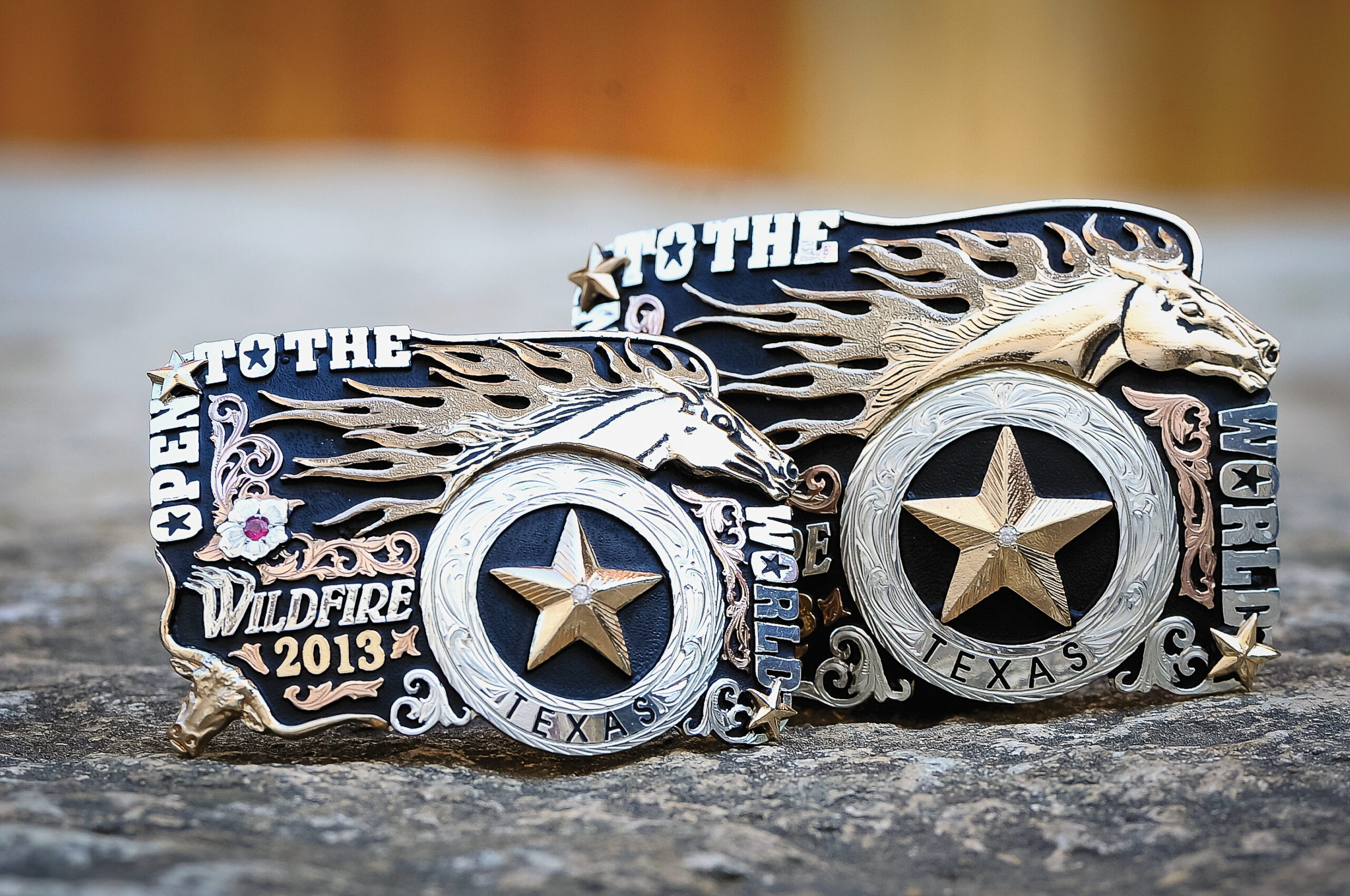 Closeup of the 2013 Open to the Wildfire trophy buckle.