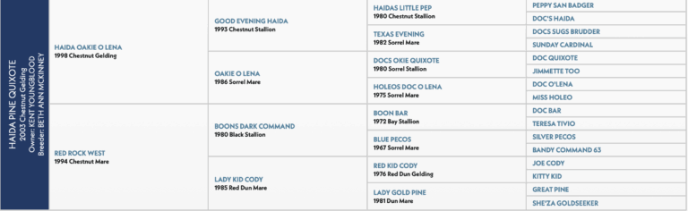 Jake Smith's Friendly, registered Haida Pine Quixote.