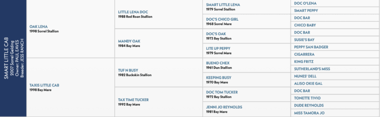 Hunter Koch's Smart Little Cab , aka Casino