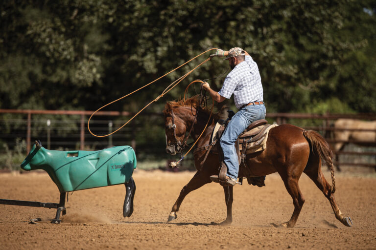 OPENER_MCS-PaulEaves-2025-5