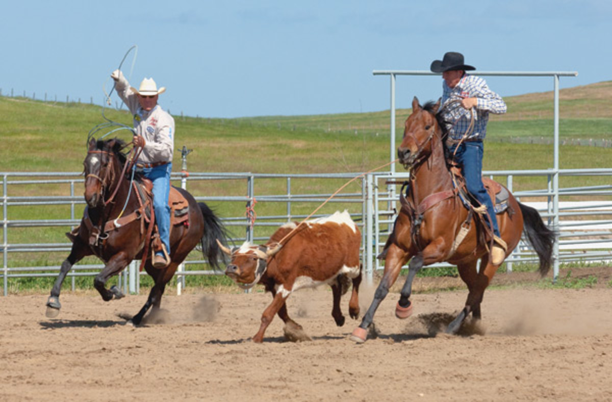 The Best Team Roping Rope: Finding the Right Rope for You